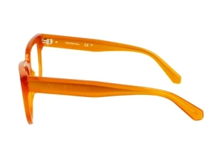 Vista laterale Calvin Klein CKJ24615 (201)