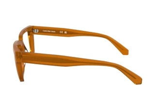 Vista laterale Calvin Klein CKJ24616 (201)