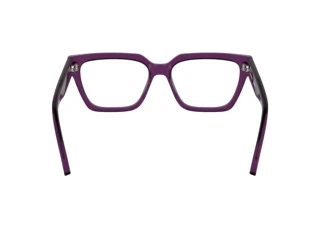 Vista posteriore Calvin Klein CKJ25609 (208)