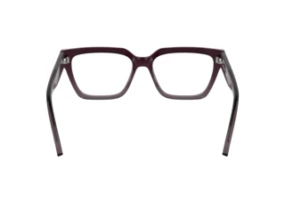 Vista posteriore Calvin Klein CKJ25609 (602)