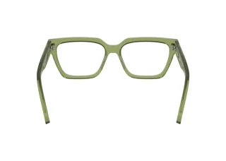 Vista posteriore Calvin Klein CKJ25609 (746)