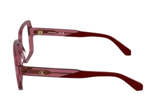 Vista laterale Calvin Klein CKJ26613 (600)