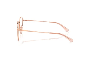 Vista laterale Coach HC5116D (9331)