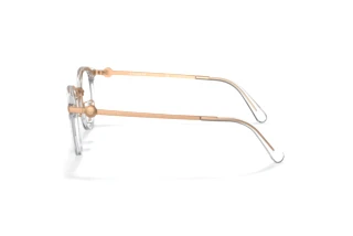 Vista laterale Coach HC5133D (5111)