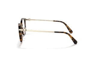 Vista laterale Coach HC5133D (5120)