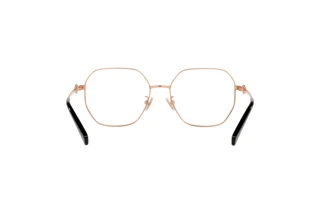 Vista posteriore Coach HC5134D (9363)