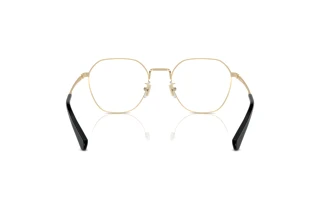 Vista posteriore Coach HC5170 (9005)