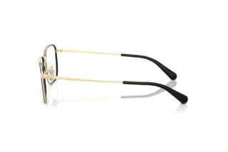 Vista laterale Coach HC5171 (9005)