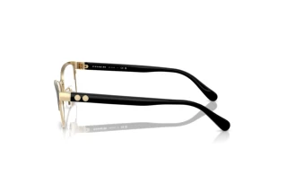 Vista laterale Coach HC5176 (9435)