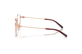 Vista laterale Coach HC5179D (9331)