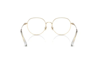 Vista posteriore Coach HC5180TD (9005)