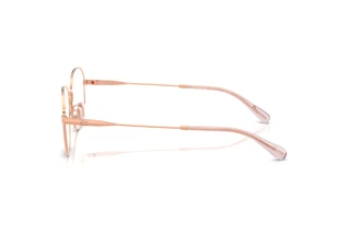 Vista laterale Coach HC5187D (9407)