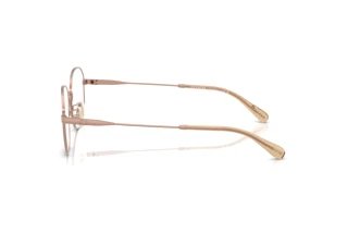 Vista laterale Coach HC5187D (9414)