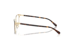 Vista laterale Coach HC5195TD (9476)