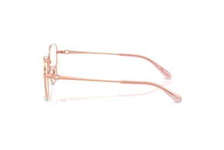 Vista laterale Coach HC5198TD (9407)