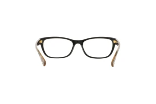 Vista posteriore Coach HC6082 (5353)