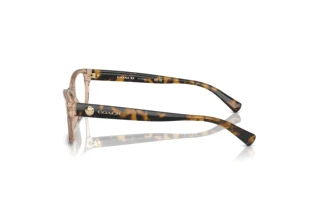 Vista laterale Coach HC6082 (5561)