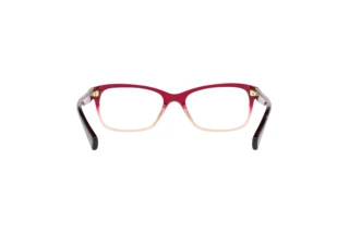 Vista posteriore Coach HC6089 (5484)