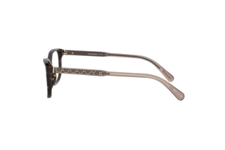 Vista laterale Coach HC6143 (5120)