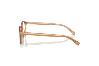 Vista laterale Coach HC6152D (5654)