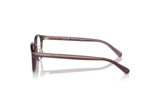 Vista laterale Coach HC6152D (5677)