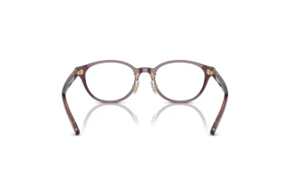 Vista posteriore Coach HC6152D (5677)