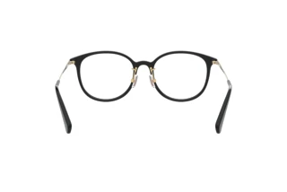 Vista posteriore Coach HC6160D (5002)