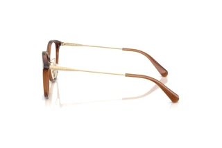 Vista laterale Coach HC6160D (5847)