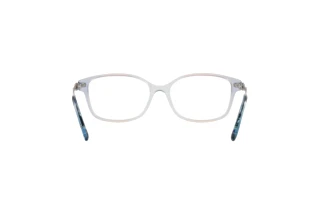 Vista posteriore Coach HC6172 (5642)