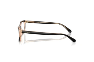 Vista laterale Coach HC6174 (5781)