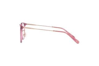 Vista laterale Coach HC6175D (5556)