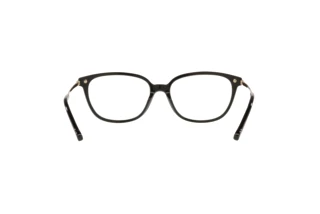 Vista posteriore Coach HC6185 (5002)