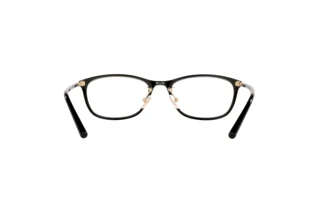 Vista posteriore Coach HC6191BD (5002)