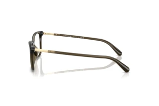 Vista laterale Coach HC6192U (5400)