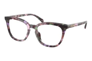 Vista frontale Coach HC6222U (5843)