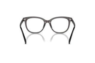 Vista posteriore Coach HC6223U (5785)