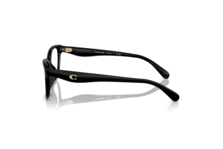 Vista laterale Coach HC6243U (5002)