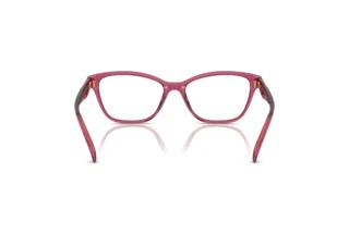 Vista posteriore Coach HC6243U (5824)