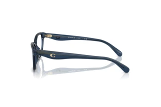 Vista laterale Coach HC6243U (5846)