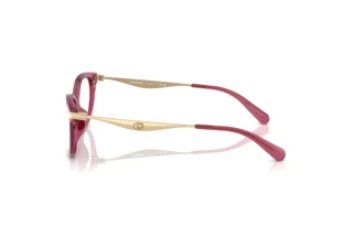 Vista laterale Coach HC6245U (5824)