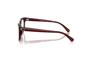 Vista laterale Coach HC6247U (5393)