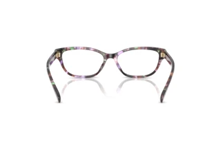 Vista posteriore Coach HC6250U (5843)