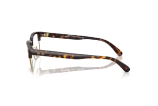 Vista laterale Coach HC6253 (5120)