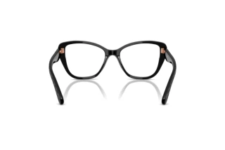 Vista posteriore Coach HC6255U (5002)