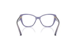 Vista posteriore Coach HC6255U (5864)