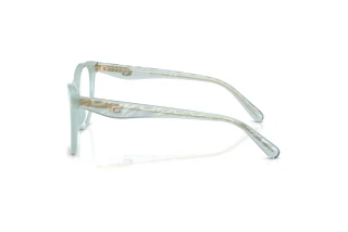 Vista laterale Coach HC6256U (5865)