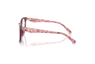 Vista laterale Coach HC6259U (5954SB)