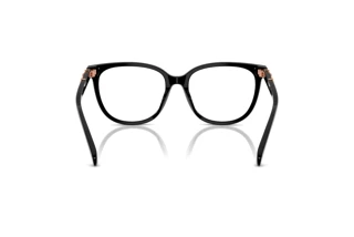 Vista posteriore Coach HC6260U (5002)