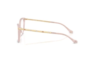 Vista laterale Coach HC6261BU (5869)