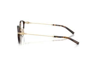 Vista laterale Coach HC6268D (5120)